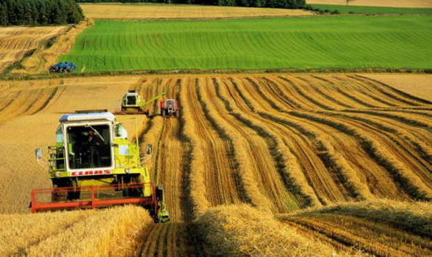 Великий український агрохолдинг домовився про реструктуризацію боргів