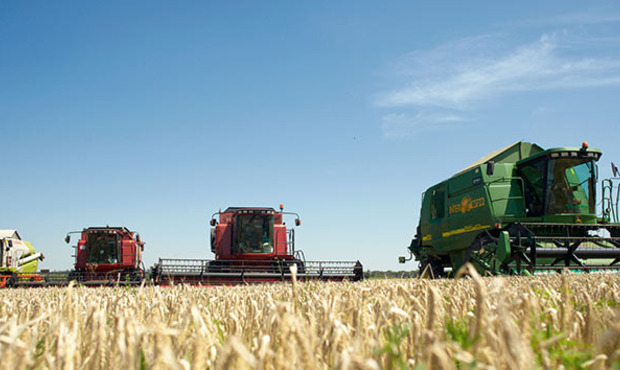 Агрохолдинг Веревського реструктував борги перед європейськими банками