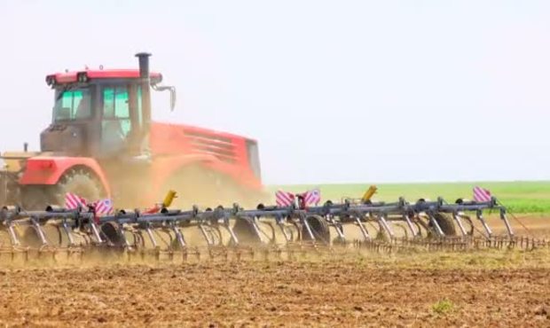 Національний аграрний кооператив доводять до банкрутства – ЗМІ