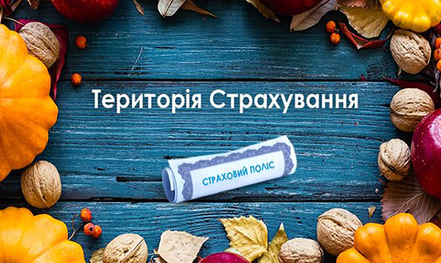 ЛСОУ порадила, якими мають бути критерії якості активів та платоспроможності страховиків