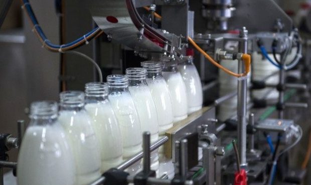 Укрексімбанк реструктуризує борги молочної групи "Альміра"