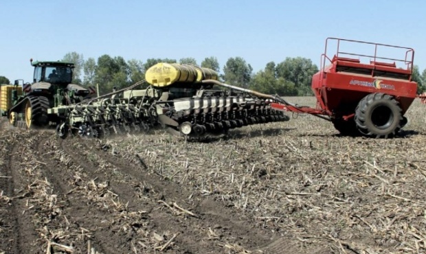 На Одещині лютує посуха: знищено 80% посівів, Мінекономіки проситиме про дотації аграріям