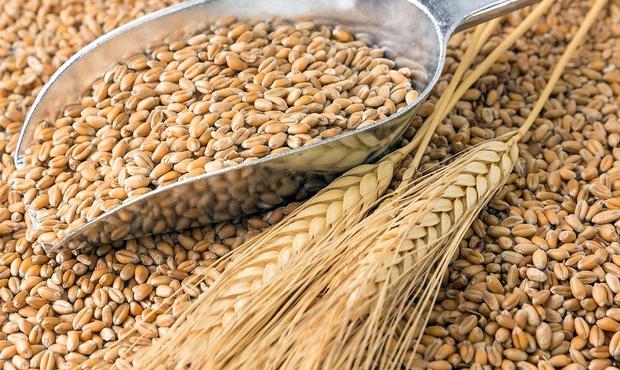 Продовольчо-зернова корпорація звинувачує ексочільника у мільйонних збитках, той спростовує