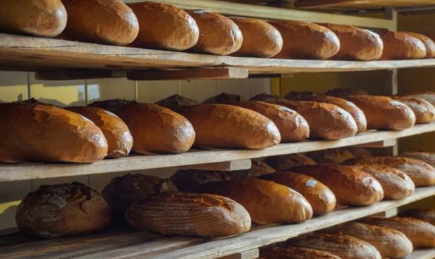 Суд визнав банкрутом хлібозавод "Салтівський"