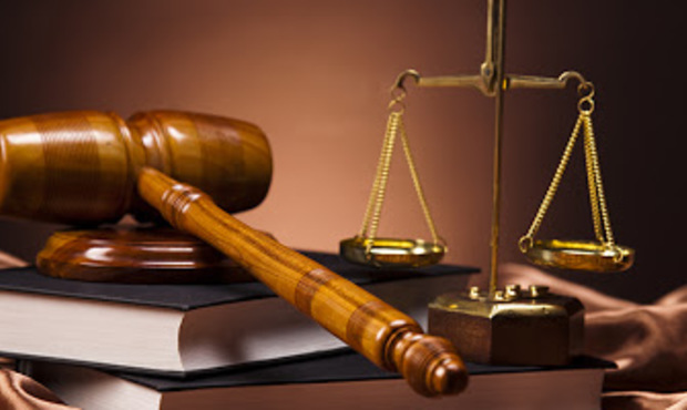 Справа про банкрутство "Райз": кредитори заявили про борги на понад 28 млрд грн