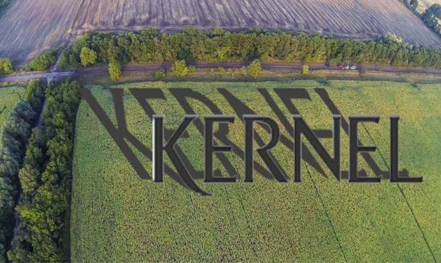 Kernel вважає клопотання про банкрутство необґрунтованим