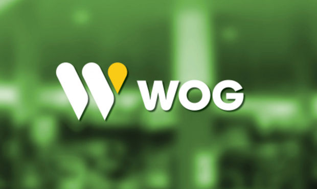 Суд визнав банкрутом "WOG Рітейл"