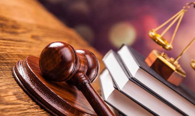 ВС роз’яснив, чи наділяється майновий поручитель статусом боржника у справах про банкрутство