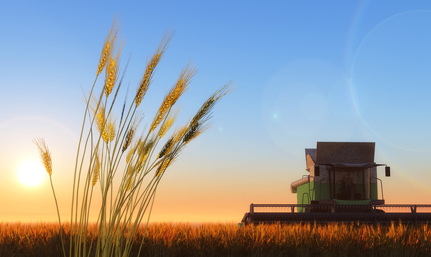 При відкритті ринку землі не враховано системи примусового виконання рішень – приватний виконавець