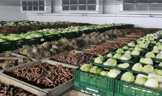 Кредитори збанкрутілого овочесховища на Кировоградщині хочуть повернути 7 мільйонів