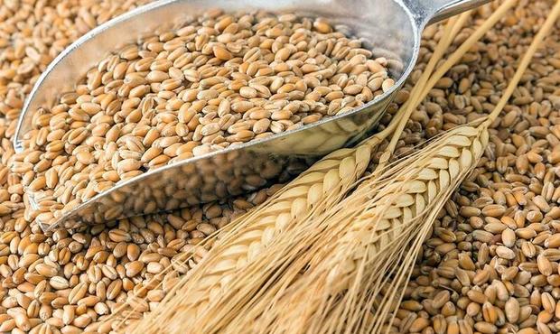 Суд дав 3,5 року ексдиректору філії ДПЗКУ, якого викрили на мільйонних розтратах