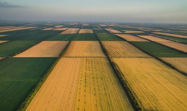 Ринок землі працює під час війни: оголошено 5 тисяч аукціонів на понад мільярд