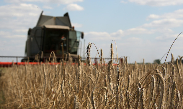 Інфраструктура, аграрії та імпортозаміщення: уряд схвалив напрямки роботи держбанків