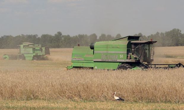 Україна пропонує G7 створити організацію країн-експортерів зерна