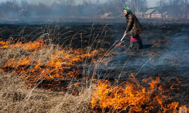 Знищення окупантами сільгосппідприємства завдало збитки довкіллю на понад 30 мільйонів