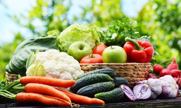 На Херсонщині окупанти примушують аграріїв здавати закупникам з Криму 70% врожаю