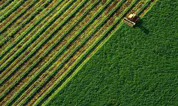 За рік ринку землі було майже 90 тисяч угод купівлі-продажу