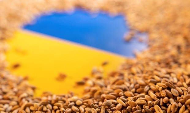 Канада виділила Україні 40 мільйонів доларів для допомоги у зберіганні зерна