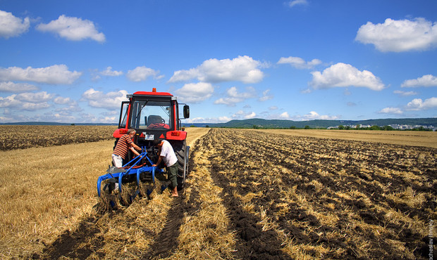 Українська аграрна біржа опинилась на межі банкрутства