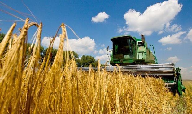 Аграрії з початку року отримали пільгових кредитів на 68 мільярдів