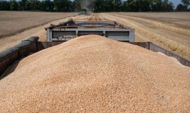 Брали хабарі з експортерів "зернового коридору": на Одещині викрили масштабну схему поборів