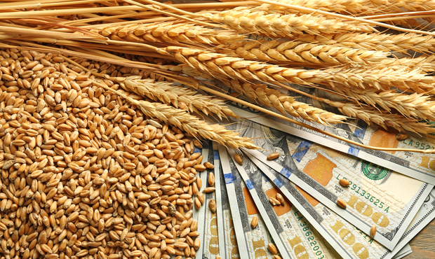 Митників викрили на розкраданні 5 мільярдів у ході експорту зерна