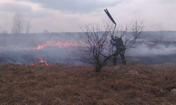 Шкода довкіллю від збройної агресії РФ перевищила $46 мільярдів