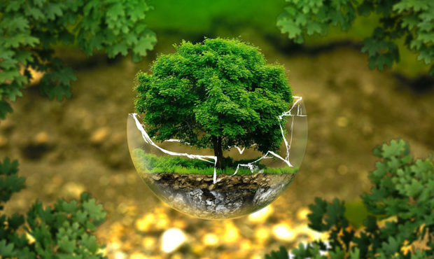 Уряду рекомендують скасувати майже половину ліцензій для бізнесу у сфері довкілля, решту - осучаснити