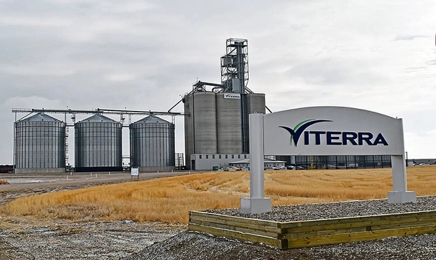 Зернотрейдер Viterra слідом за Cargill припинить експорт російського зерна