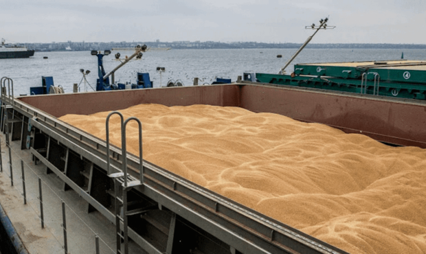 Експорт "зерновим коридором" за тиждень збільшився на 80%