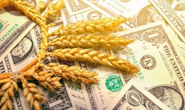 Створення агрогіганта вартістю $34 мільярди: зернотрейдери Viterra і Bunge оголосили про злиття