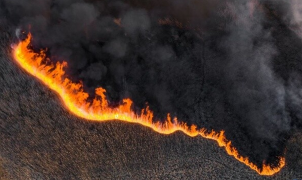 Збитки довкіллю через обстріли росіянами військових об’єктів торік досягли 300 мільярдів