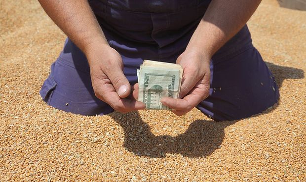 Правоохоронці викрили схему заволодіння зерном держпідприємства на 23 мільйони