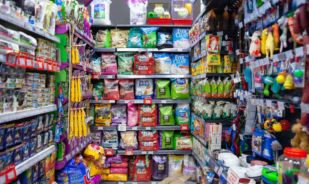 Ринок зоотоварів і послуг для тварин в Україні зріс до 36 мільярдів