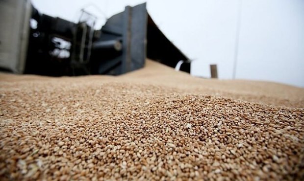 Литва майже припинила імпорт зерна з Росії та Білорусі