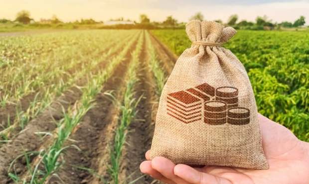 У Фонді держмайна презентували проєкт "Земельний банк": які він надає можливості