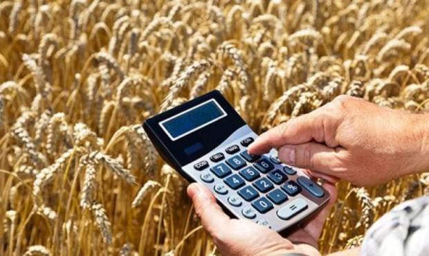 Держава прогарантувала перший інвестиційний кредит для агровиробника