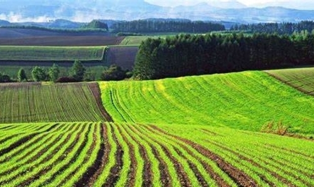 В травні земля в Україні рекордно подорожчала