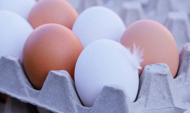 ЄС відновив мита на яйця і цукор з України через перевищення обсягів імпорту
