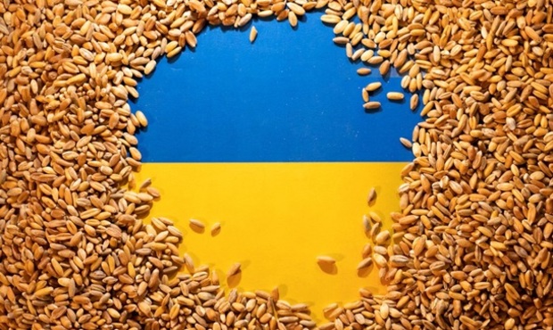 Україна експортувала до Італії майже 3 мільйона тонн агропродукції за 8 місяців 2024 року