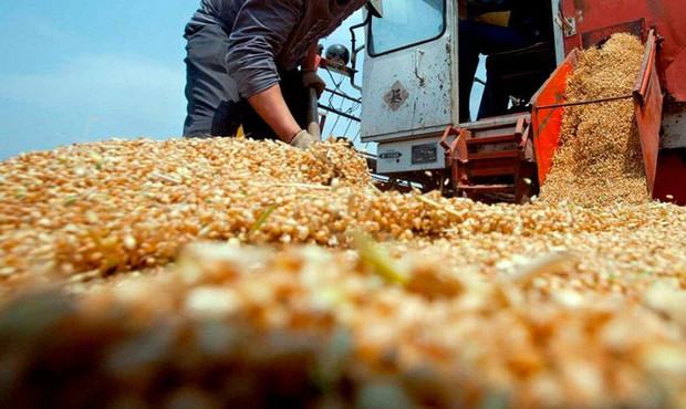 Фірма, чия кукурудза зникла після арешту, відсудила у держави 5 мільйонів