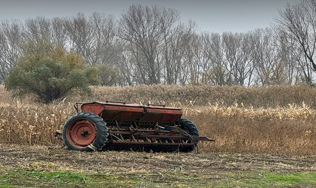 На Одещині фірма легалізувала необліковану сільгосппродукцію на 300 мільйонів