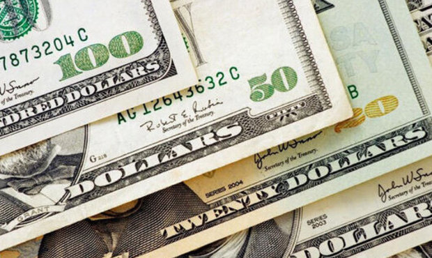 Виплати за прямими інвестиціями скоротилися на 50% у 2024 році