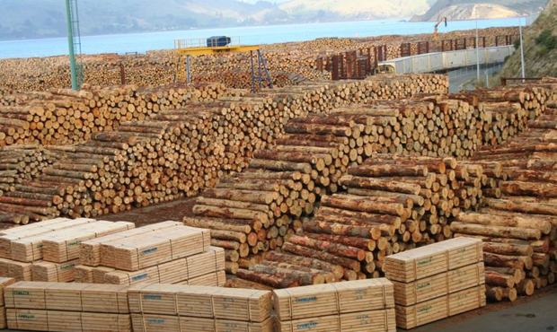 Суд не посадив у тюрму підприємця за контрабанду лісоматеріалів