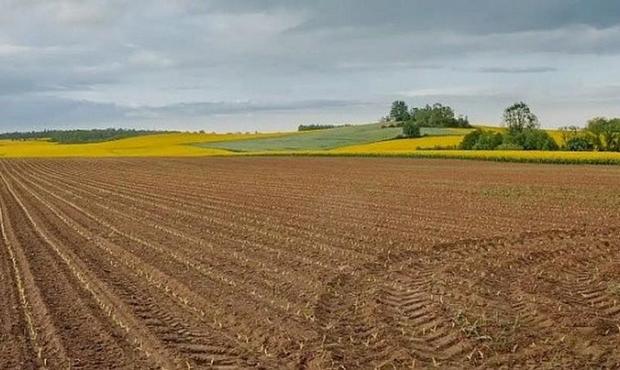 Привласнення 300 га землі вартістю 17 мільйонів: посадовець Херсонської ОВА отримав підозру
