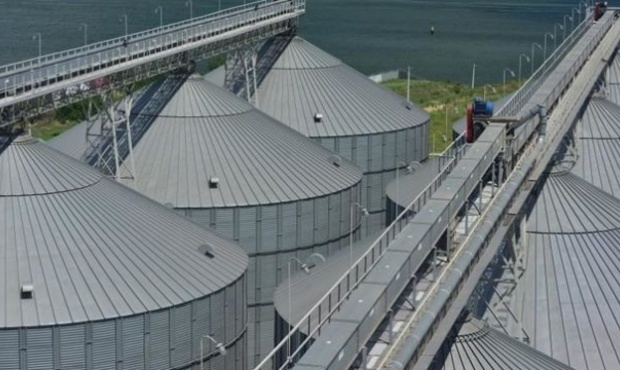 АРМА отримало в управління зерновий термінал, пов'язаний з Коломойським і Боголюбовим