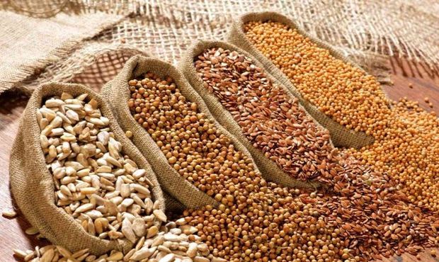 Агропродукція становить 58% у загальному експорті України: ключові позиції