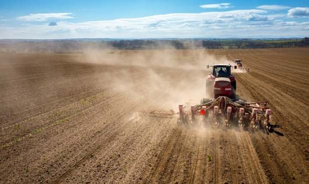 В Україні посіяли понад мільйон гектарів зернових та почали висів кукурудзи