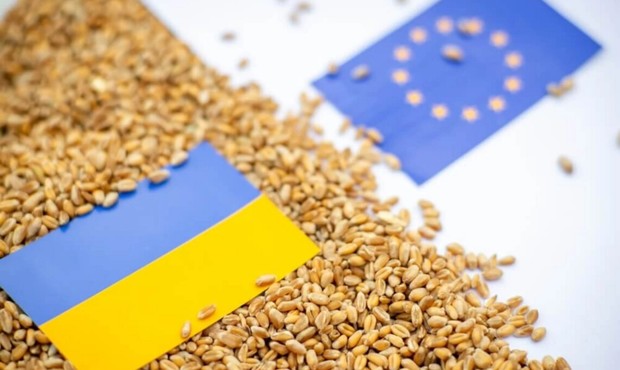 Відновлення квот на імпорт української агропродукції до ЄС: Шмигаль не бачить загроз