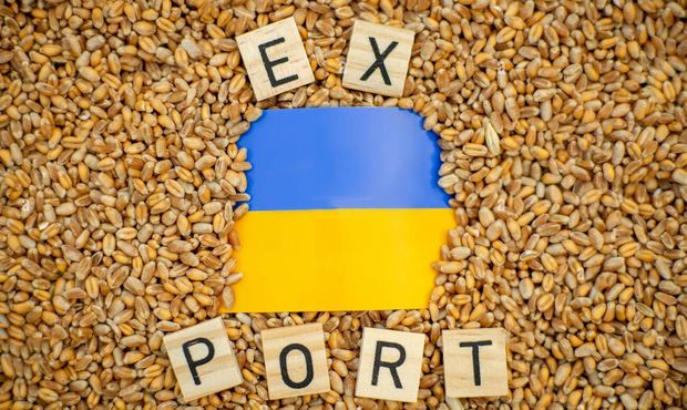 Трейдери пшениці через обмеження експорту до ЄС шукають нові ринки